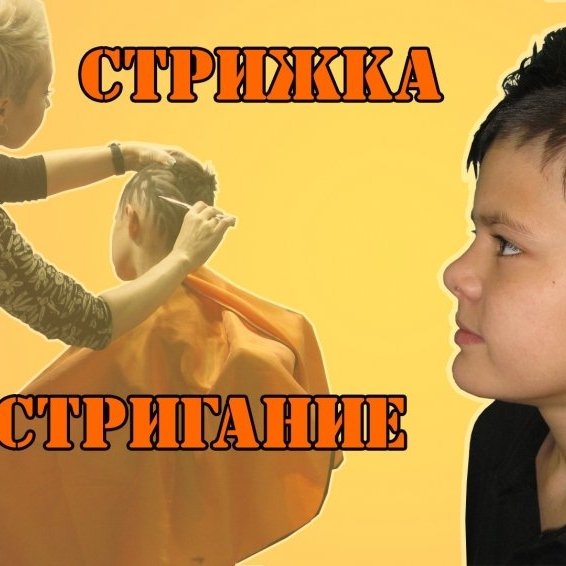 CТРИЖКА ┃ВЫСТРИГАНИЕ