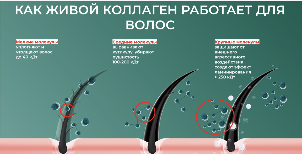 Косметический коллаген и преимущества процедуры коллагирования для волос.